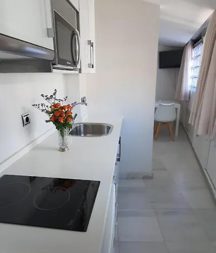 Torre De La Mezquita 公寓 *